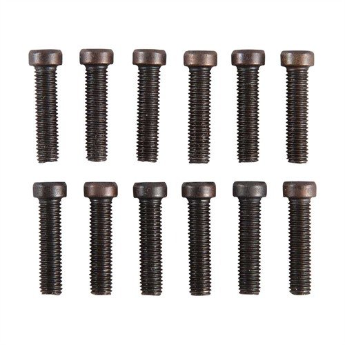 Consigue 240 tornillos TORX de alta calidad, con cabezas T-10 y T-15, en una caja resistente, ideal para anillas y bases, ¡perfectos para tus proyectos!