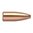 Las balas Varmageddon 17 Caliber de Nosler son ideales para cazadores de alimañas. Fragmentación devastadora y máxima integridad en vuelo. ¡Aprende más! 🦊🔫
