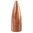 Descubre las balas SPEER TNT 30 Caliber (0.308") Hollow Point de 125gr. Perfectas para alimañas, con expansión óptima y precisión a largas distancias. ¡Compra ahora! 🦊🔫