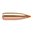 🔫 Las balas Nosler Ballistic Tip Varmint 22 Caliber (0.224") ofrecen precisión y rendimiento de caza. Ideal para rifles de cargador. ¡Descubre más y mejora tu puntería! 🎯