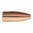 Las balas VARMINTER 30 CALIBER (0.308") de SIERRA BULLETS son ideales para la caza de alimañas. Precisas y ligeras, garantizan alta velocidad y expansión explosiva. 🦊💥 Aprende más.