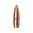 Descubre las balas Hornady® FTX® .30 CAL (0.308") 160GR, revolucionarias para armas de palanca. Máxima precisión y rendimiento a larga distancia. ¡Aprende más! 🔫✨