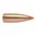 Descubre las balas sin plomo Nosler Ballistic Tip® de 22 Caliber (0.224") y 35GR Spitzer. Precisión y expansión rápida para cazadores. 🌟 ¡Aprende más ahora!