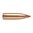 Descubre las balas sin plomo Nosler 22 Caliber Ballistic Tip Lead-Free™ de 50GR Spitzer. Perfectas para caza de alimañas y depredadores. ¡Compra ahora y mejora tu precisión! 🦊🎯