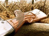 Todo lo que necesitas para empezar a cazar en España